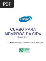 Manual CIPA (Revisado)