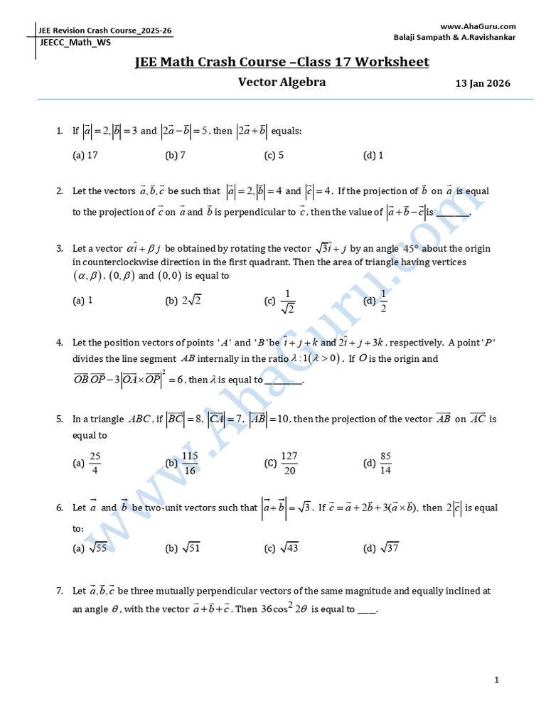 Class17 Math Vector Algebra WS 13 Jan 2026 1768307166808 EE6Dc | PDF ...