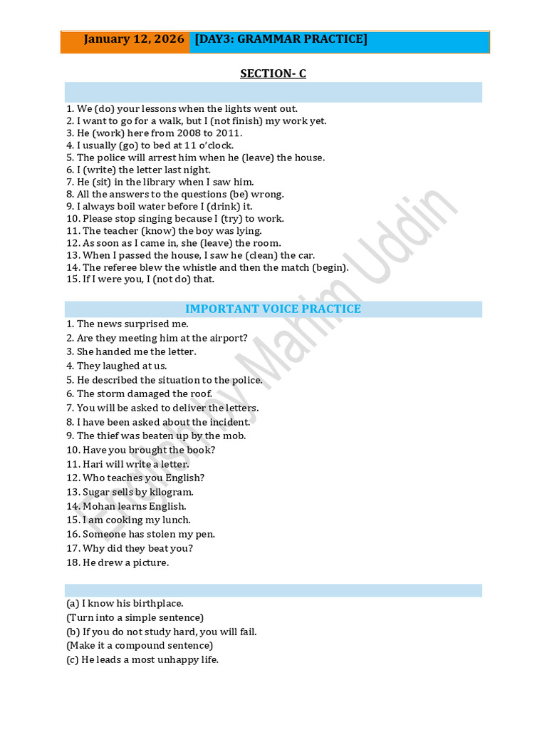 Day 3 Grammar Practice Questions | PDF