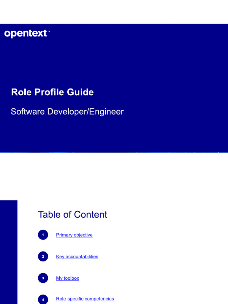 Job Role Harmonization | PDF