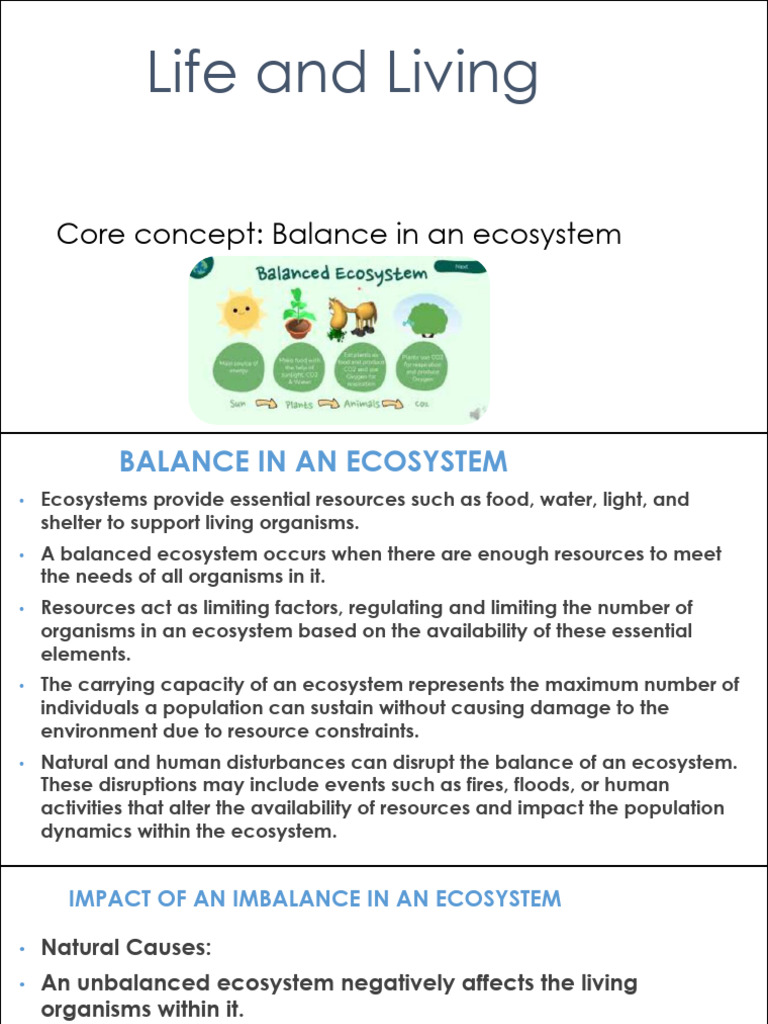 Balance in An Ecosystem | PDF