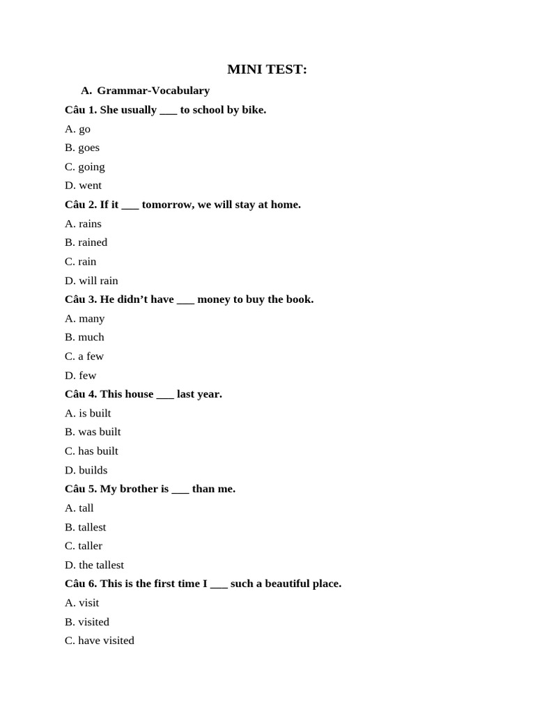 Mini Test (1) | PDF
