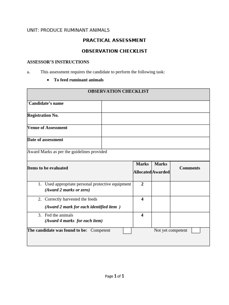 Observation Checklist - P2 2024 | PDF