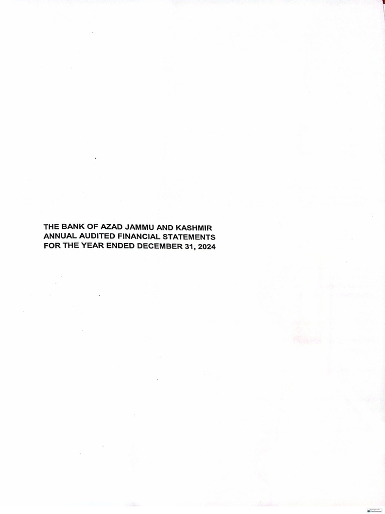 Financial Statement Dec, 2024 | PDF