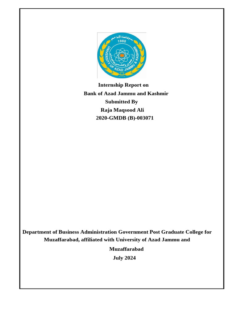 Report Ali Raja | PDF