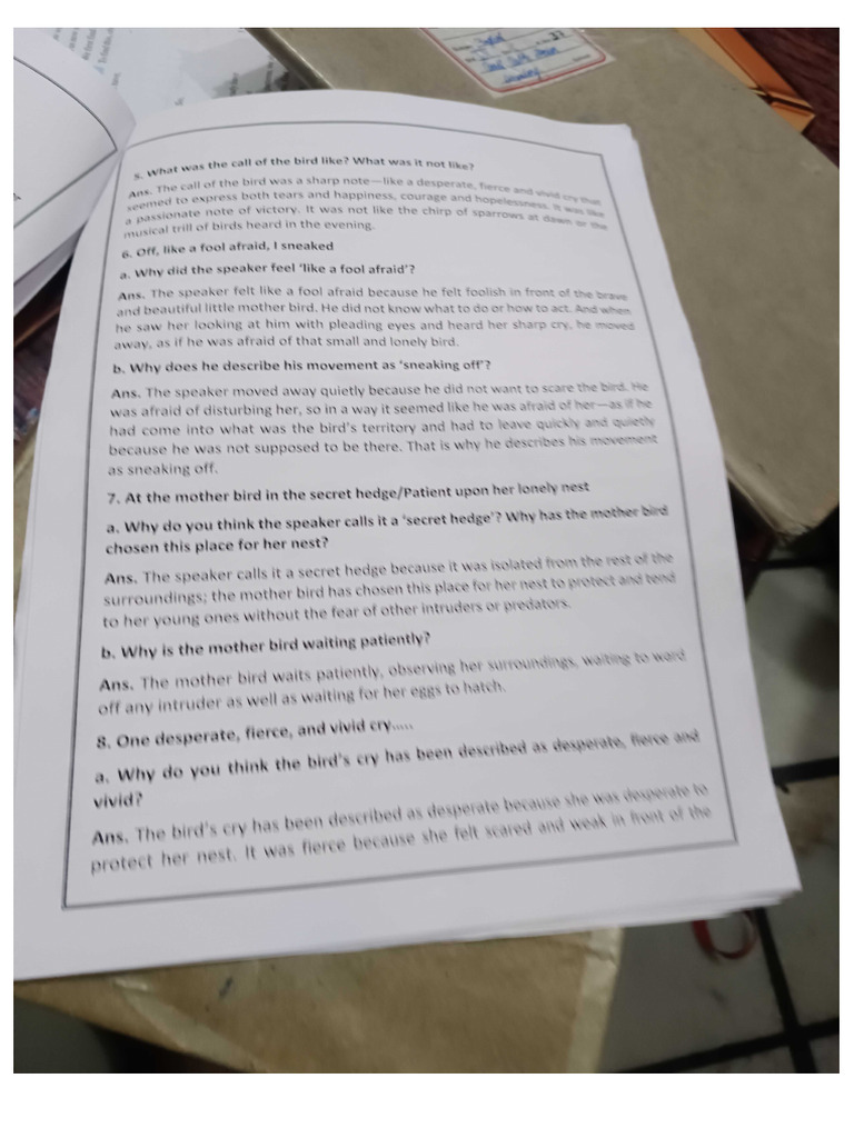 English Notes 2 | PDF