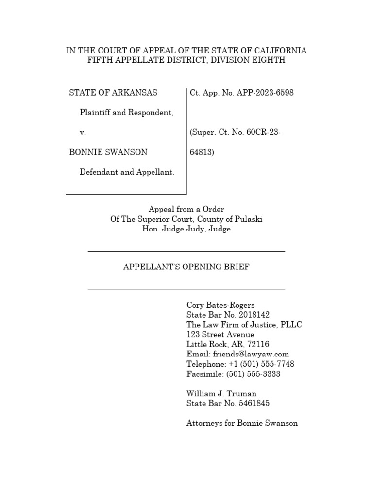Appellate-Brief-Example-2 | PDF
