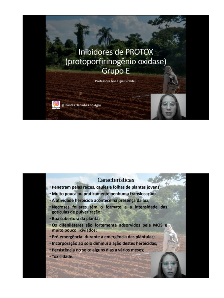 Protox | PDF