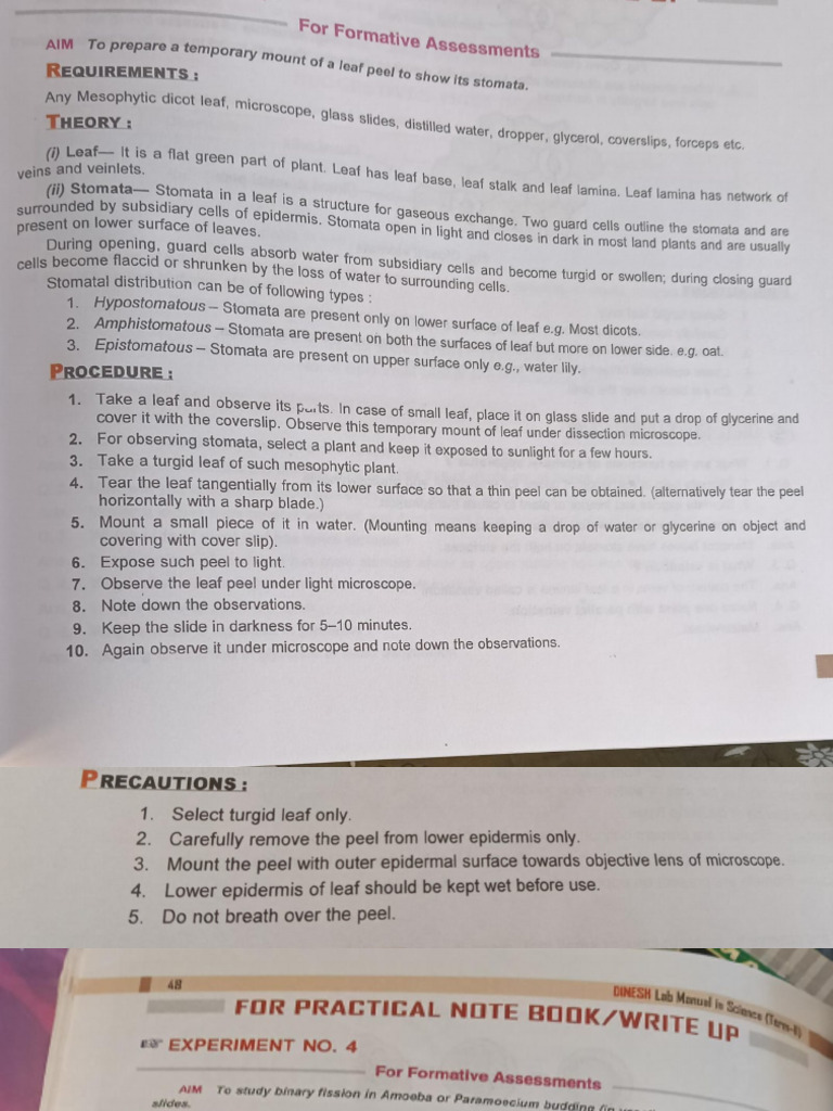 Class 10 Science Practical Notes | PDF