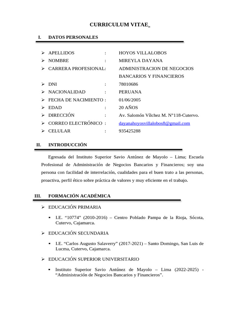 CV - Modelo | PDF | Business