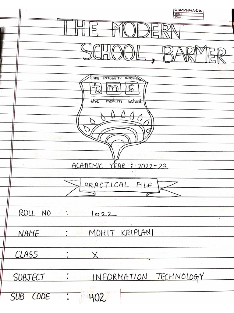 Class10 Computer Project File | PDF