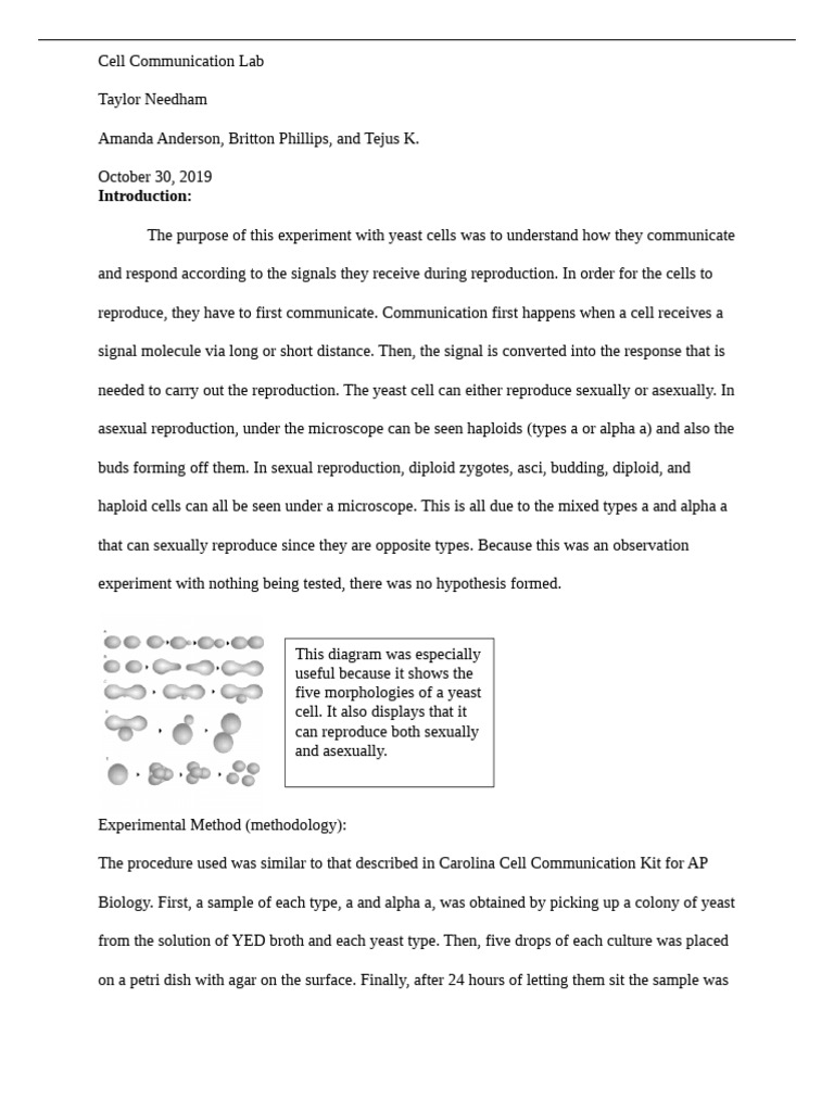 Lab Report Cell Communication | PDF | Sexual Reproduction | Reproduction