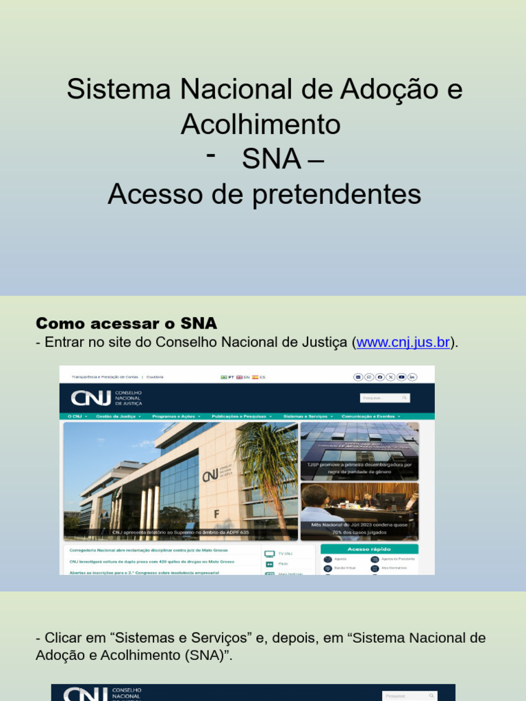 Passo A Passo - Como Acessar o SNA | PDF | Janela (informática ...