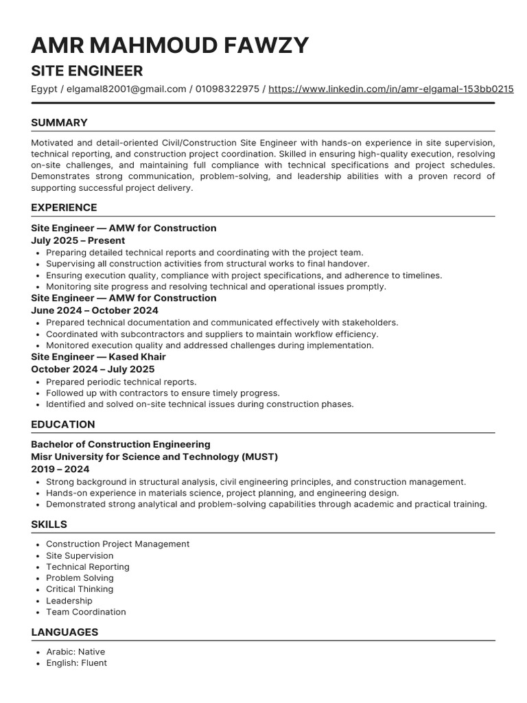 Amr CV Updated | PDF