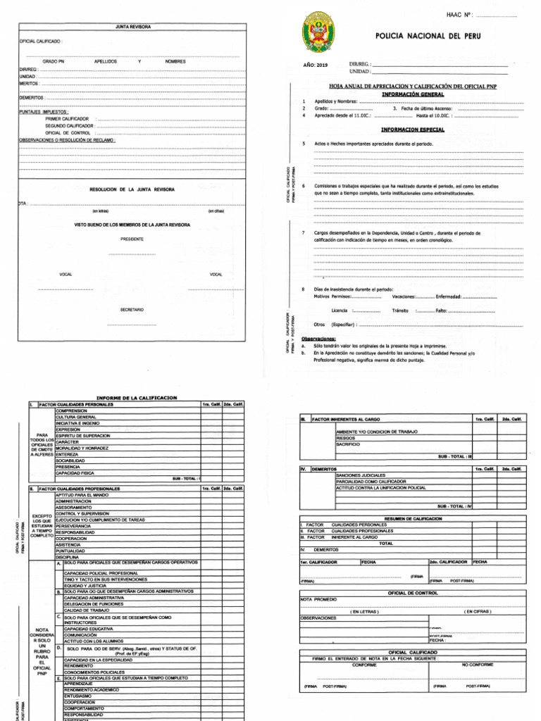 Formato PNP | PDF