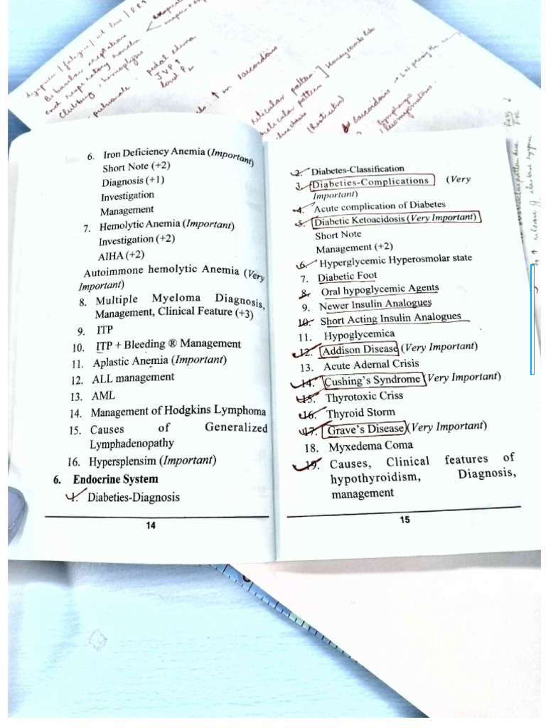 Final Year Sarvesh Goyal_cropped-10-20 | PDF