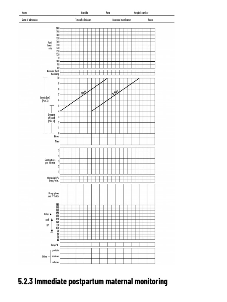 5.2 Monitoring Labour and Delivery - MSF Medical Guidelines | PDF