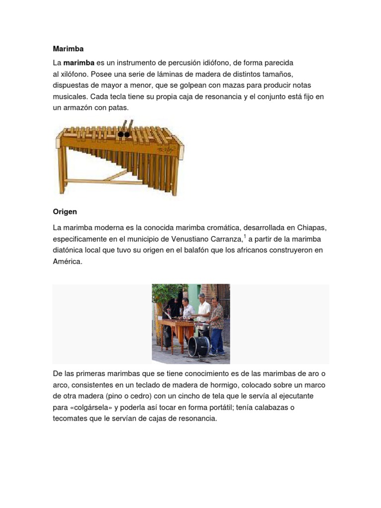Marimba Instrumentos musicales Sonido