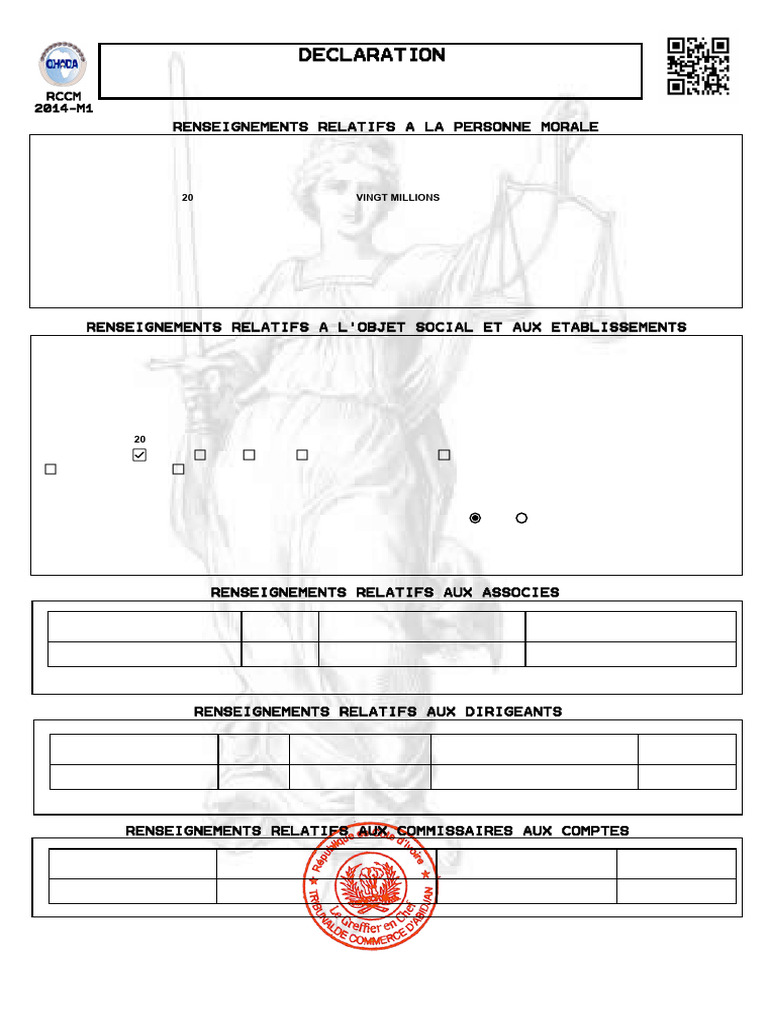RCCM - Peter Mines & Resources | PDF | Greffier
