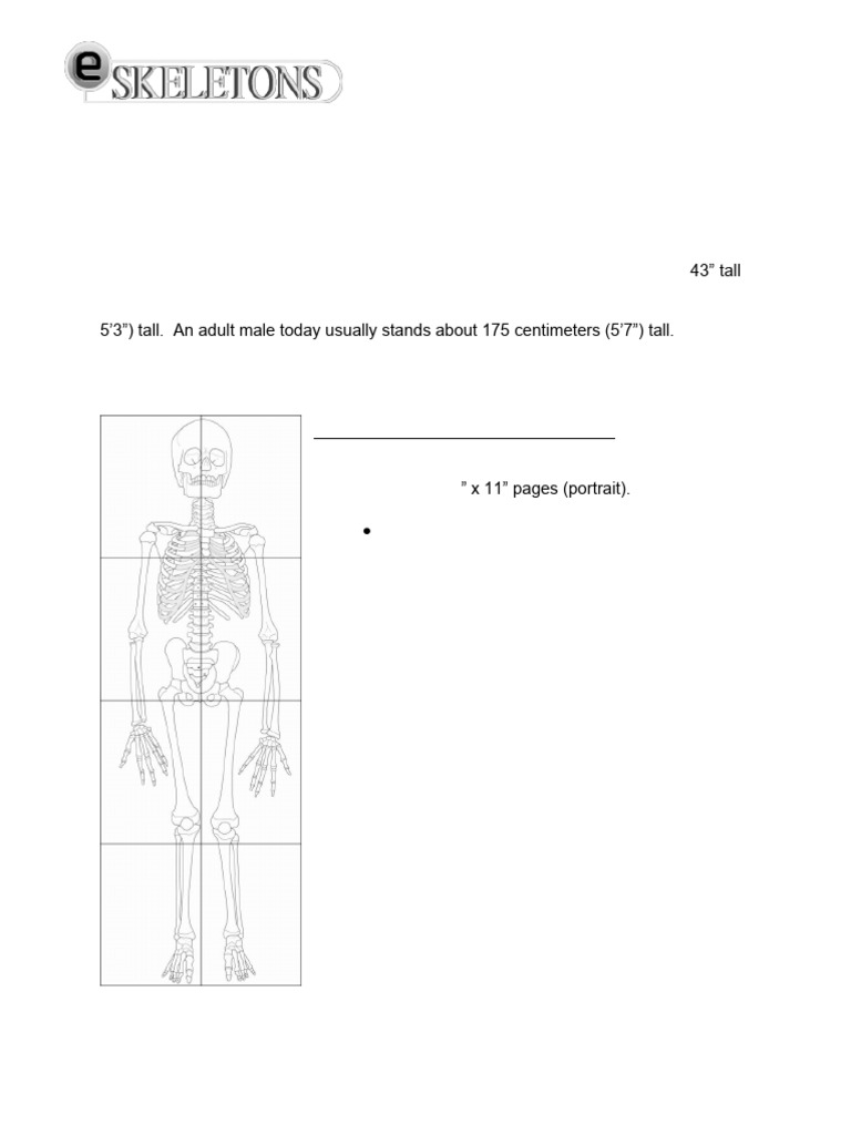 Assignment - Building A Skeleton | PDF