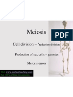 Meiosis