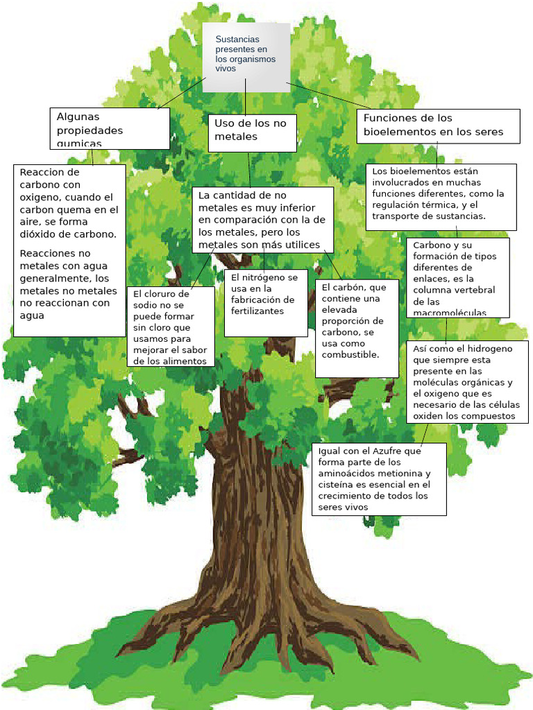 Progresion 12 Diagrama C | PDF | Carbón | Oxígeno