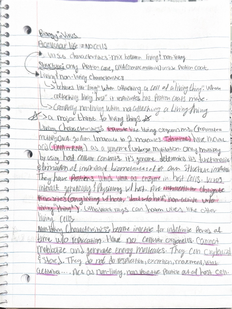 Virus Notes | PDF