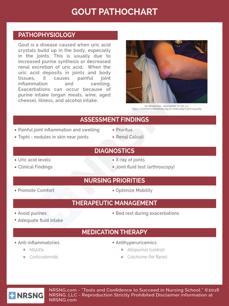 Cs Musc 003 Gout Pathochart | PDF