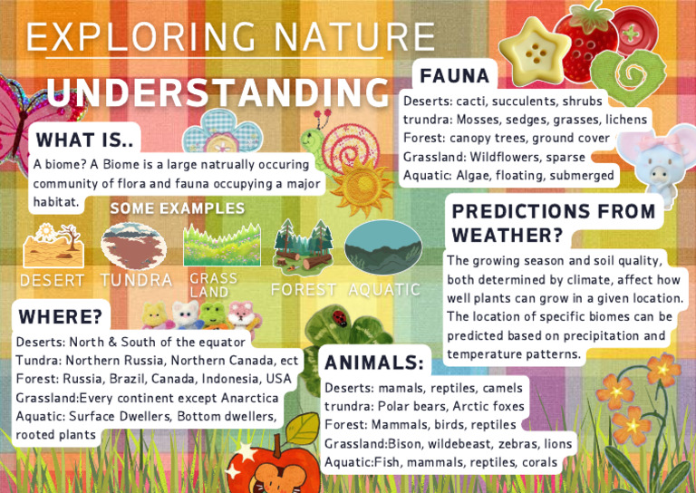 Biomes | PDF