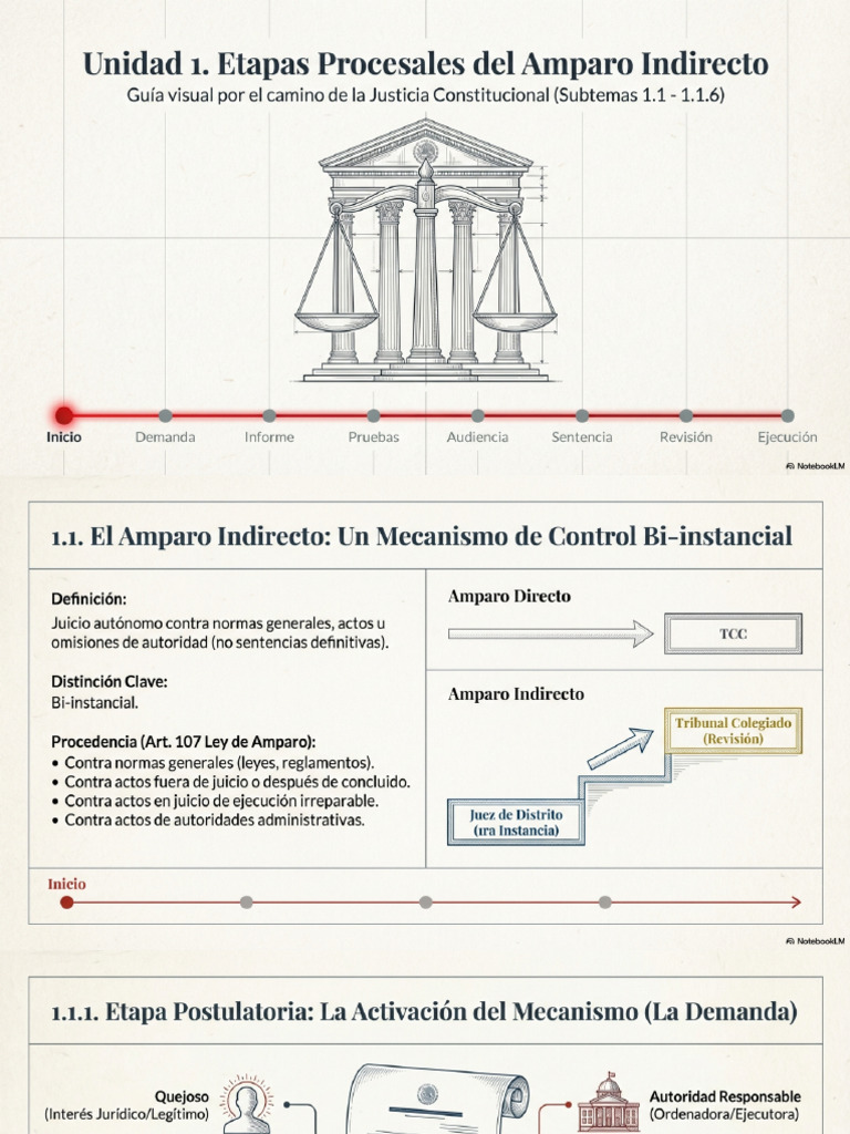 Juicio de Amparo Indirecto Etapas Procesales | PDF