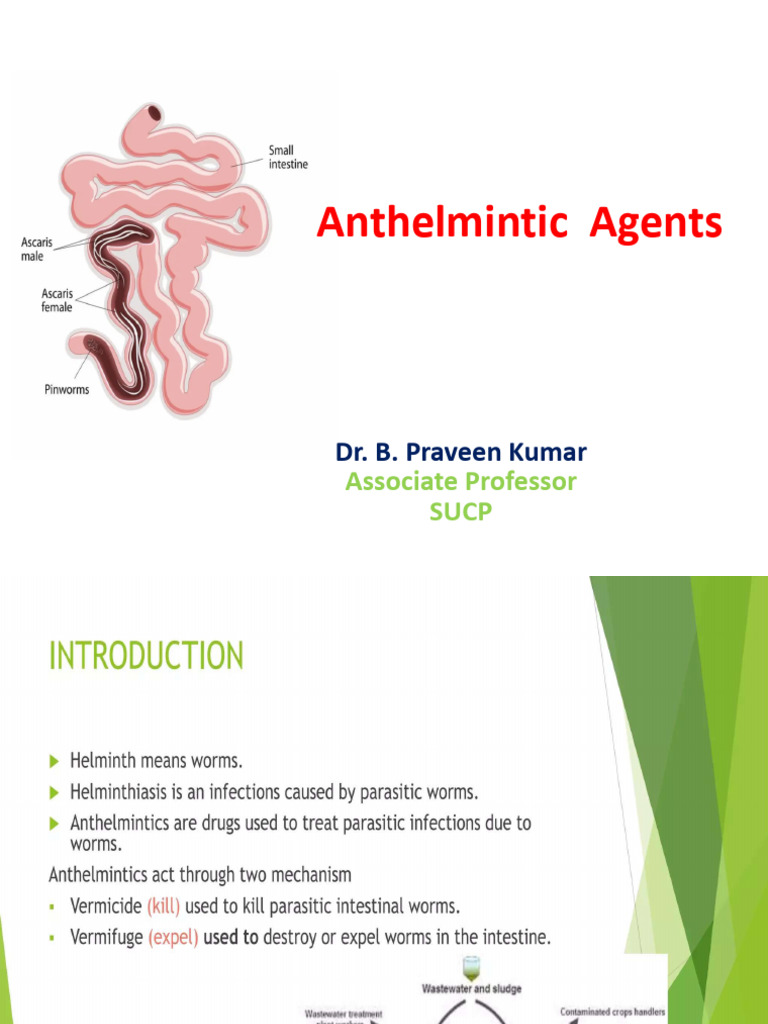 Anthelmintic | PDF