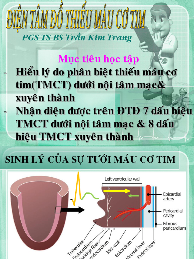 BG Ecg TMCT PDF | PDF
