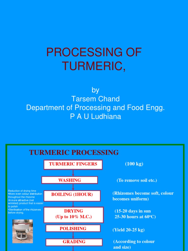 Turmeric Processing Steps and Machinery | PDF | Home & Garden