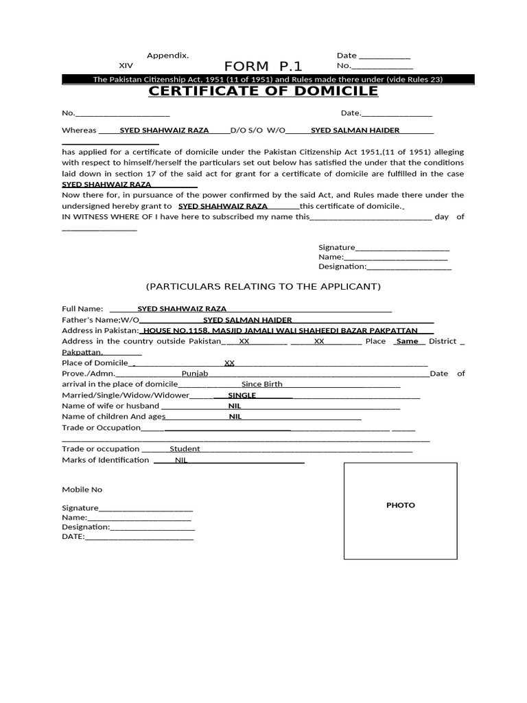 (Domicile Form) Appendix121 | PDF | International Relations | Government