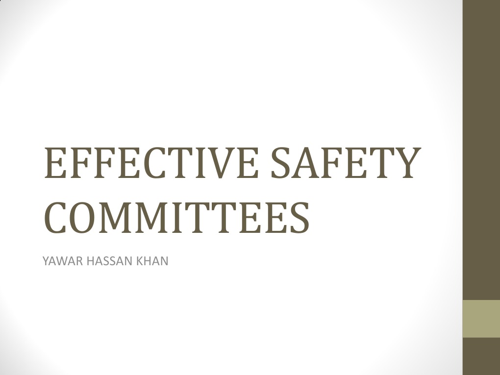 Effective Safety Committees PDF Occupational Safety And Health
