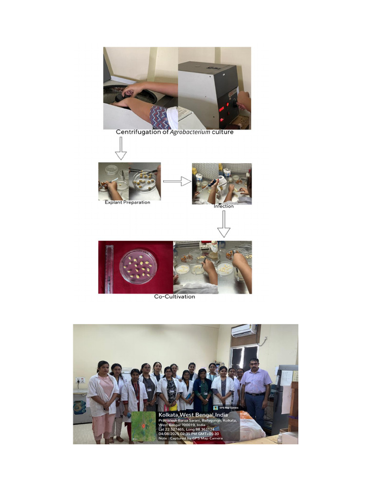 Document (11) 3 | PDF