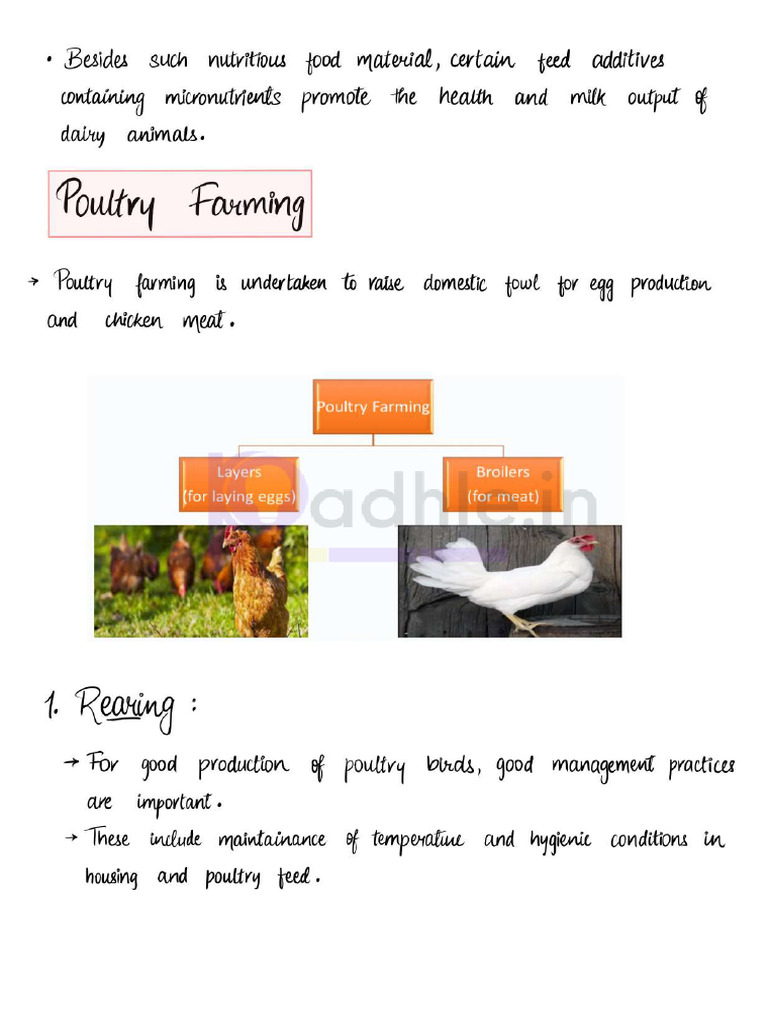 Poultry Farming | PDF