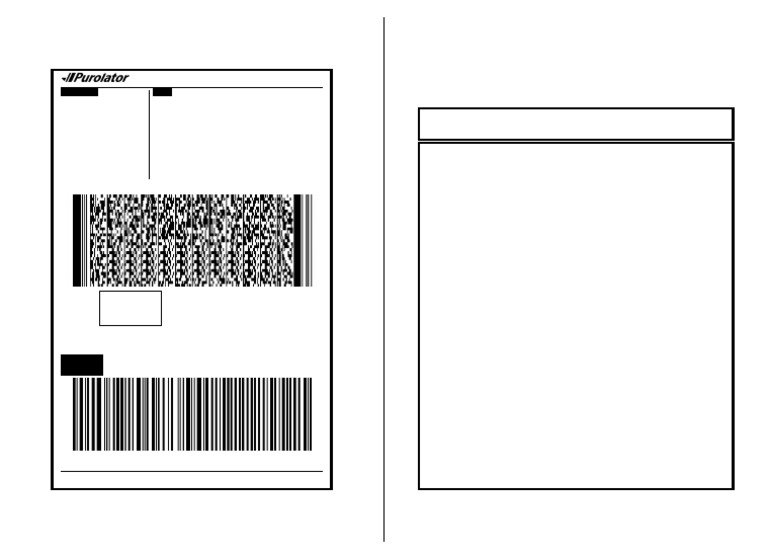 333728280152_purolator_label | PDF | Cargo | Bill Of Lading