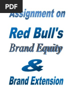 Red Bull's Brand Equity &amp; Brand Extension