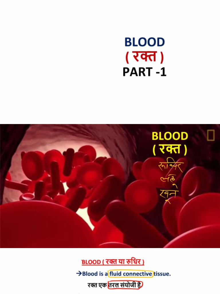Study On BLOOD | PDF