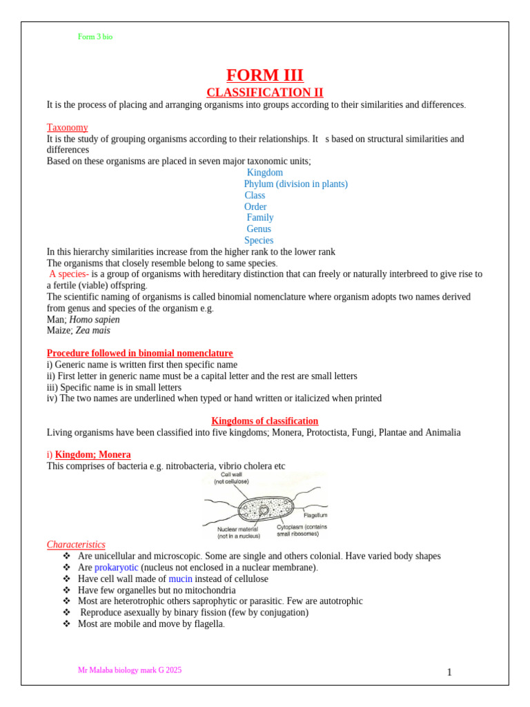 Bio Form 3 Notes | PDF | Leaf | Fern
