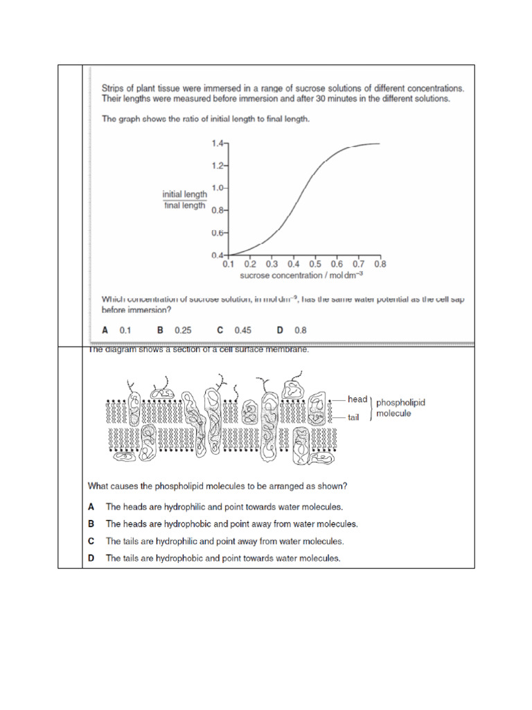 Cell Membrane and Transport P1 Questions (Complete) | PDF
