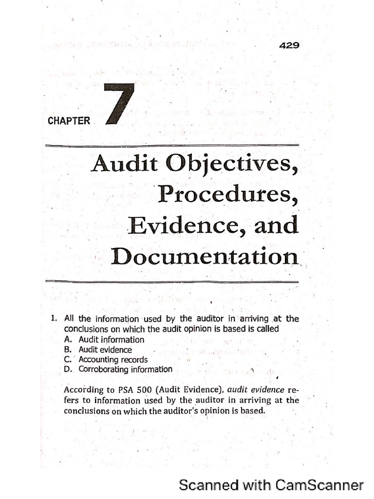 Audit Objectives | PDF
