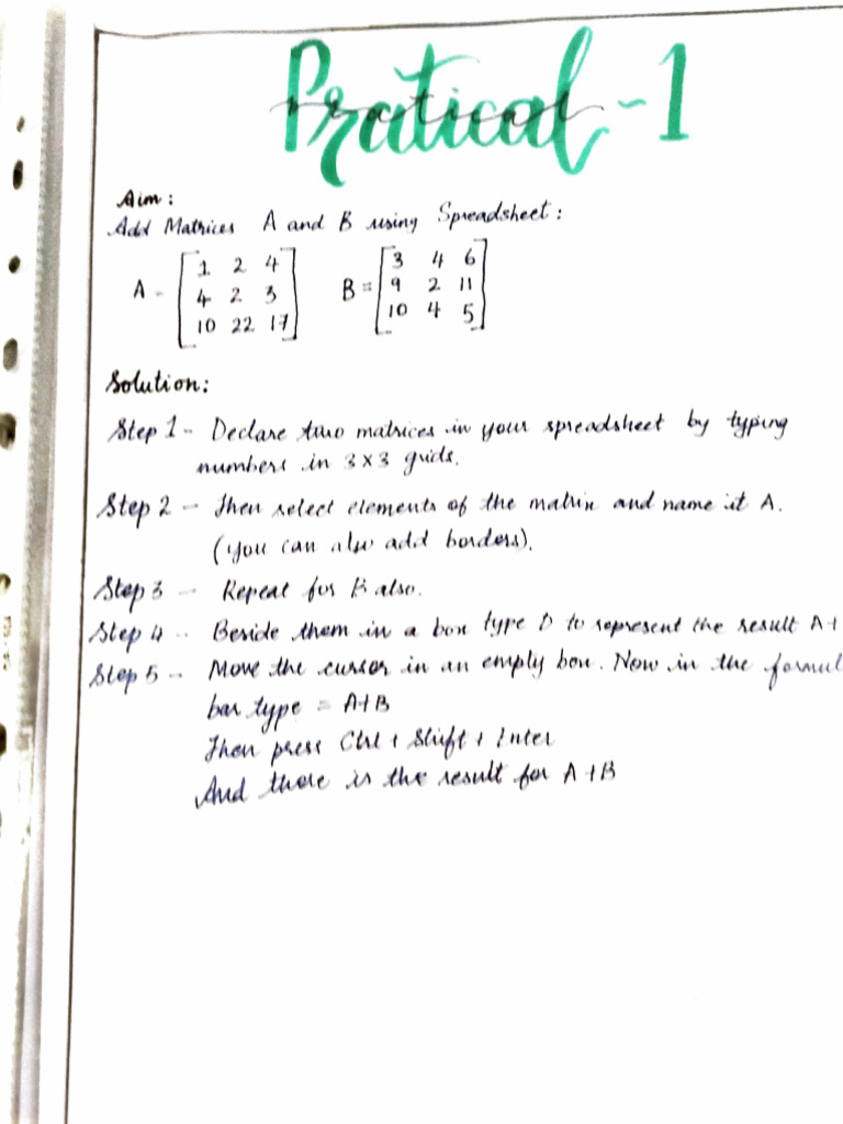 Grade 12 Practical Record | PDF