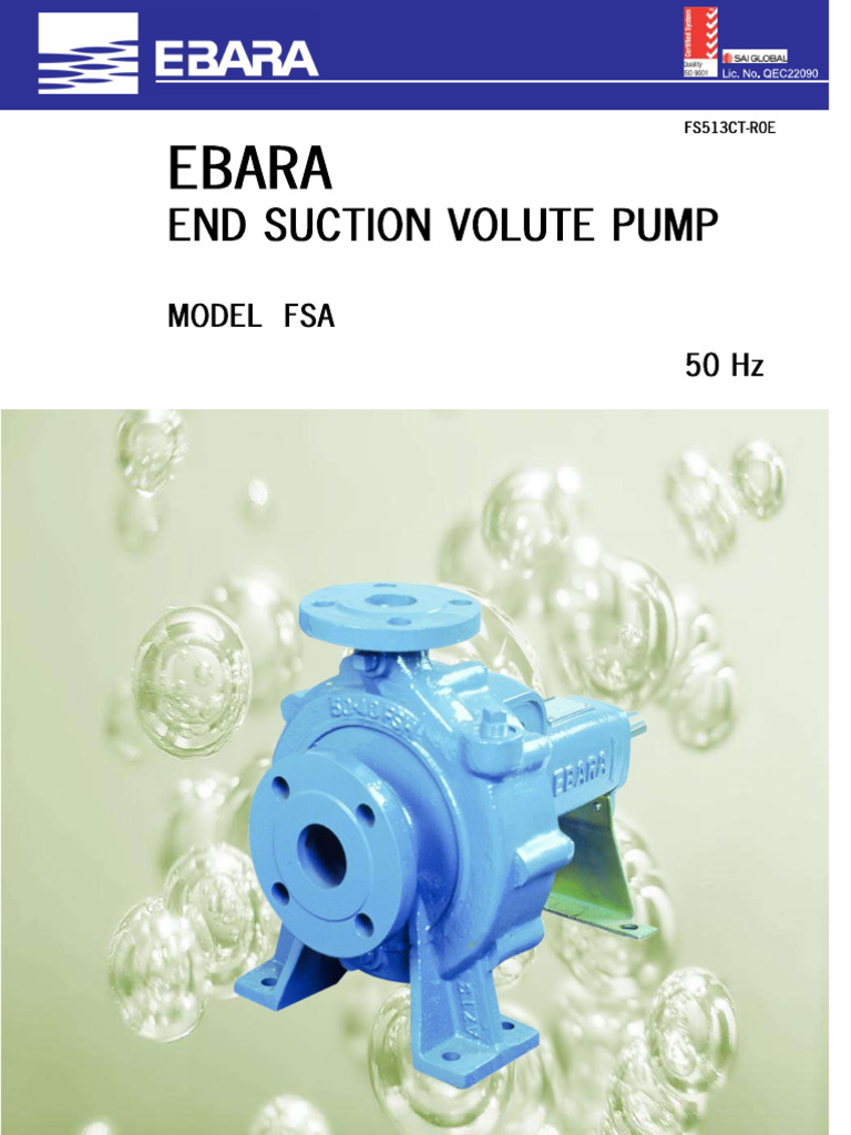 Ebara Pump | PDF