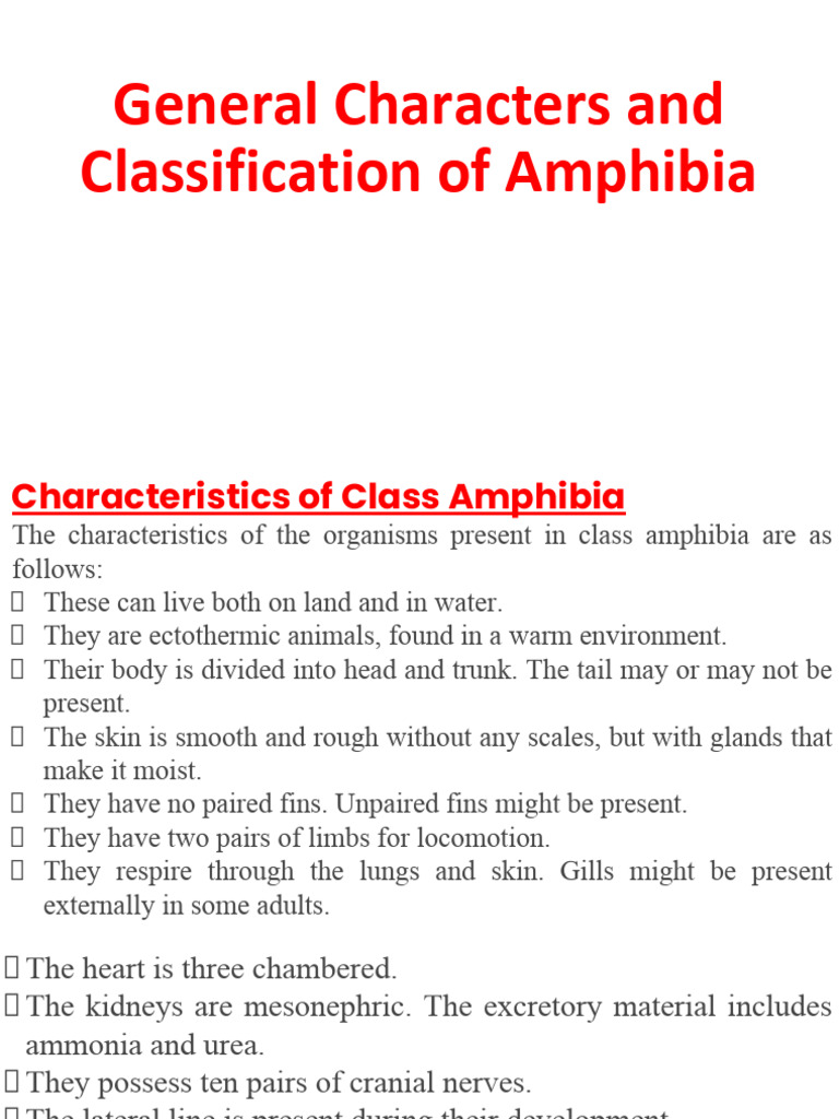 Classification of Amphibia and Frog | PDF | Frog | Amphibian