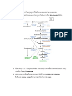 Steroid Biosynthesis