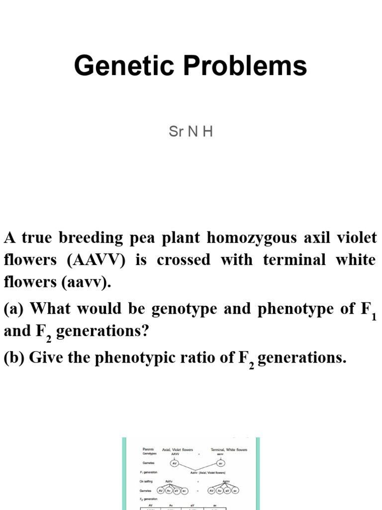 Genetic Problems | PDF