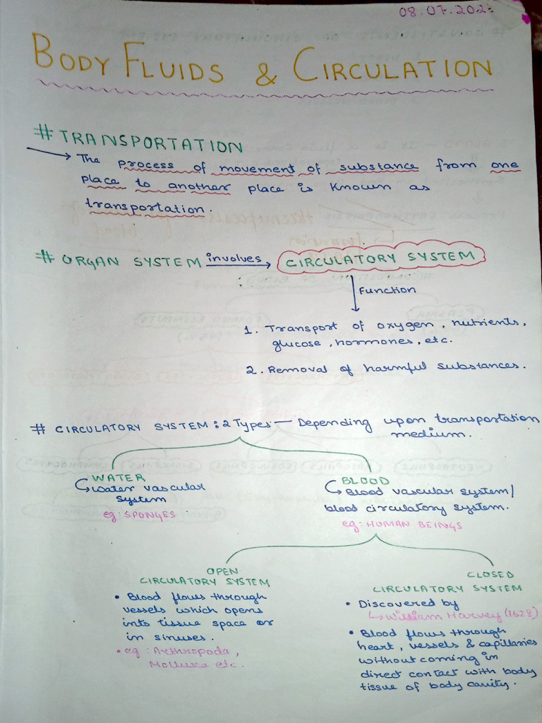 Body Fluids?& Circulation? | PDF