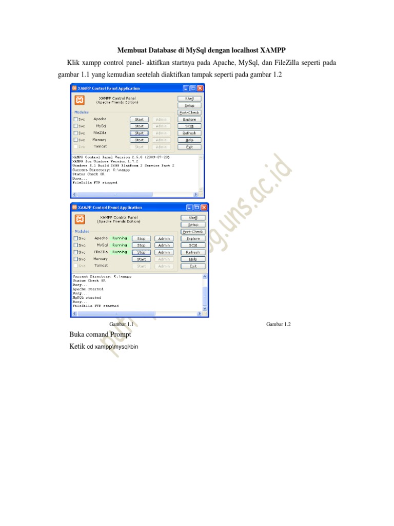 Membuat Database Di Mysql Dengan Localhost Xampp | PDF